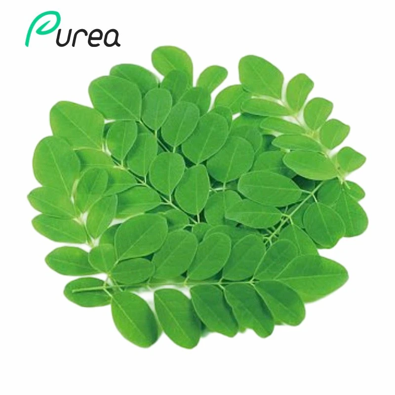 Pure Moringa Leaf Powder suppliers